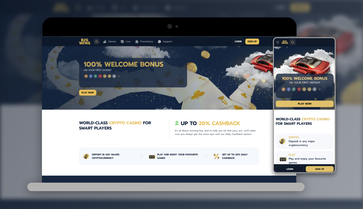 Bigwin Gambling Enterprise Testimonial